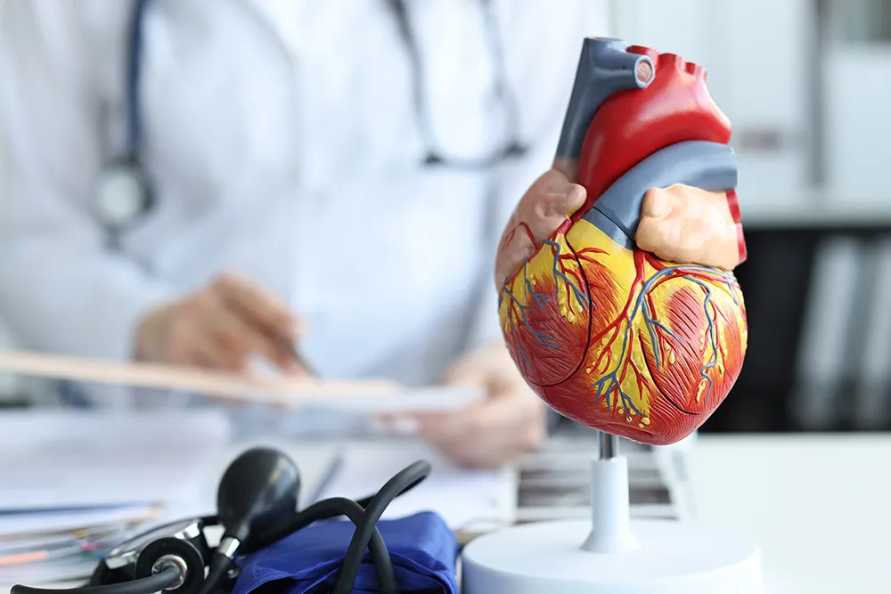 Cardiologo en La Paz